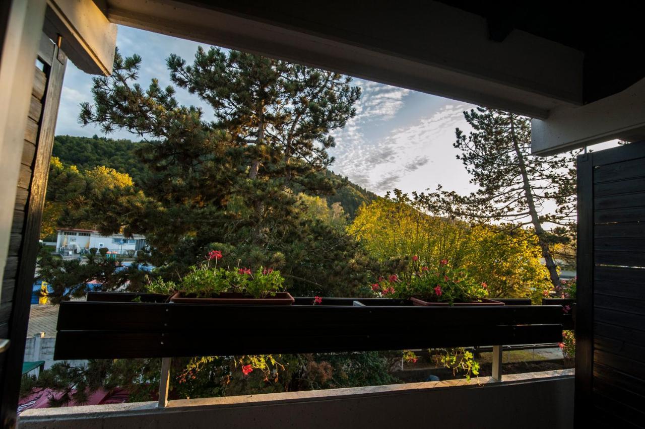 Hotel Faraon Celje Luaran gambar